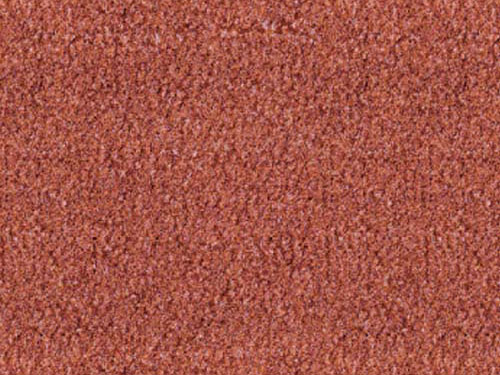 AR503