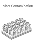 After Contamination